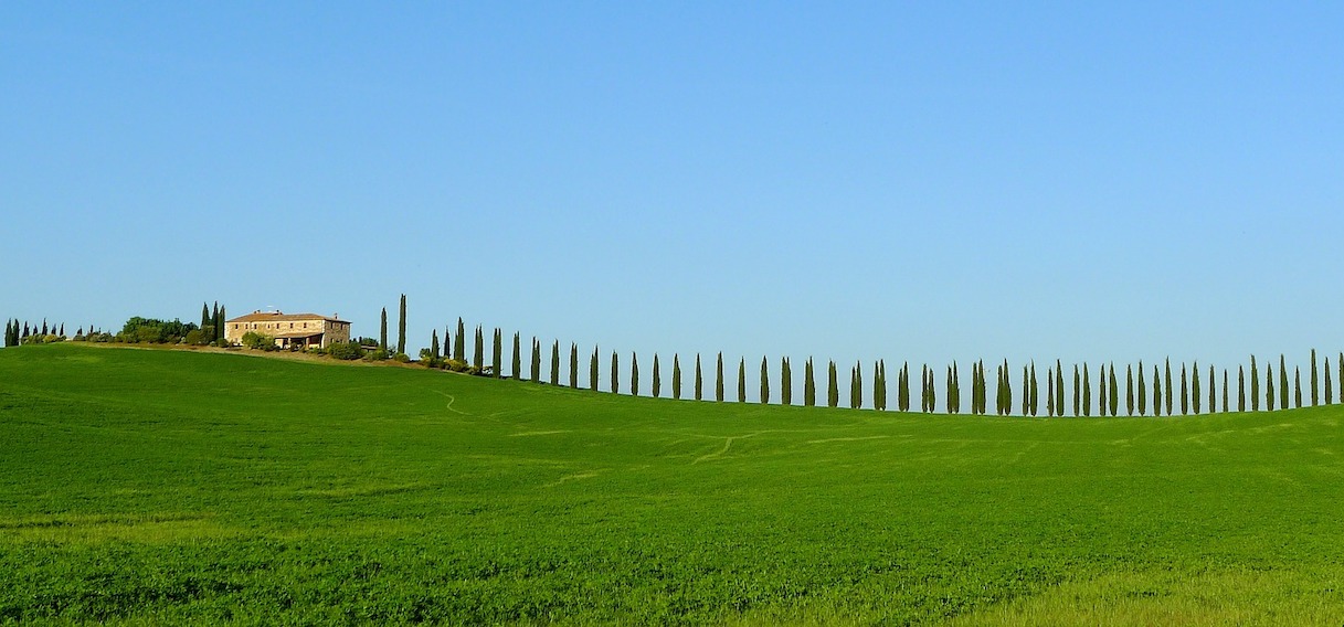 florence,tuscsan landscape with rolling hills and vineards