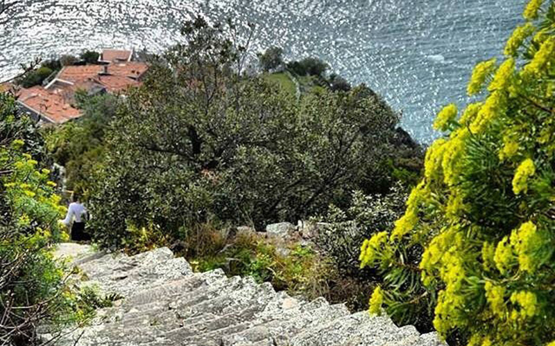 the long staircase to monesteroli, cinque terre