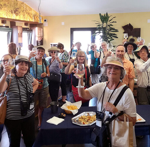 people toasting with glass of 5 terre wine