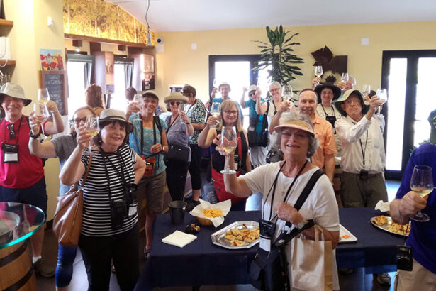 people toasting with glass of 5 terre wine