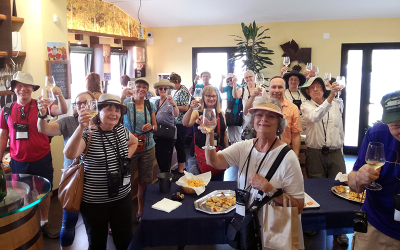 people toasting with glass of 5 terre wine