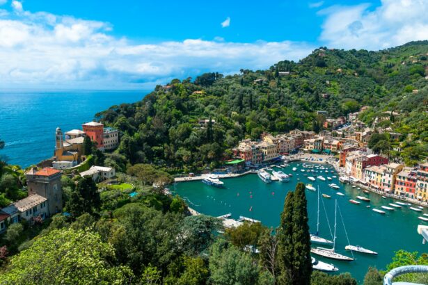 car transfers to portofino Italian Riviera