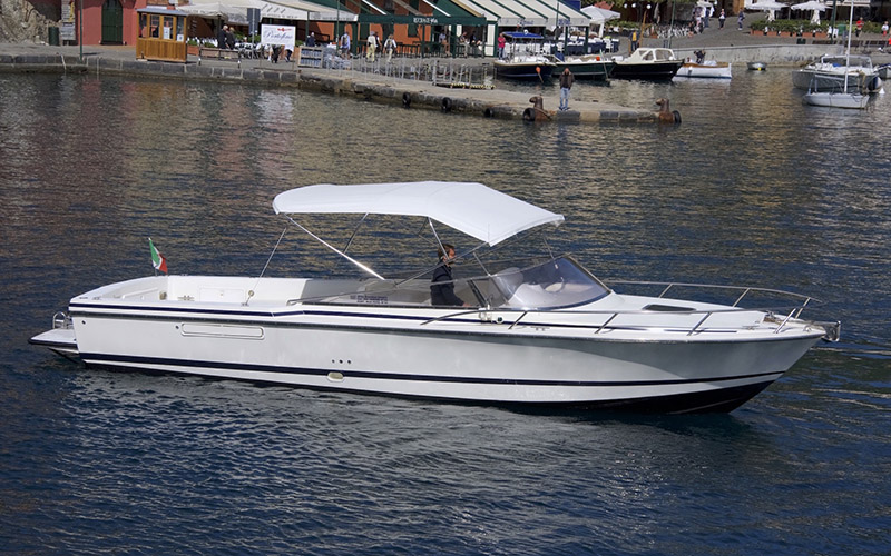 portofino private boat tours