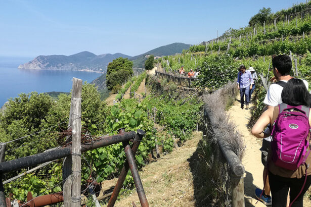 hikers on 5 terre trails in volastra