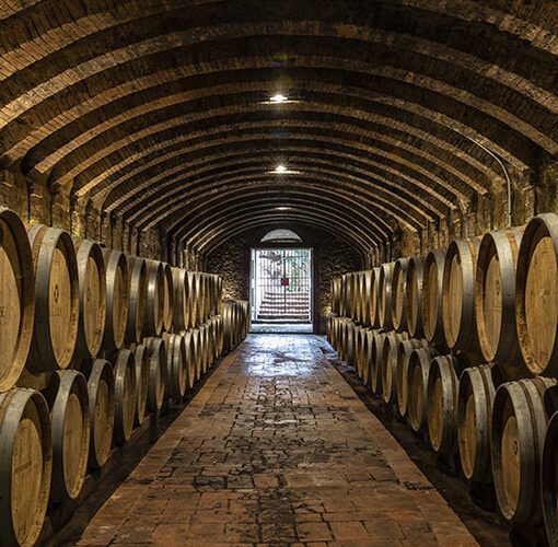 chianti wine cellar with huge barrels