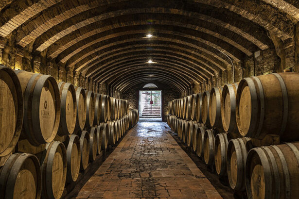 chianti wine cellar with huge barrels