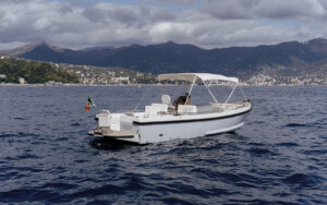 portofino small boat tours