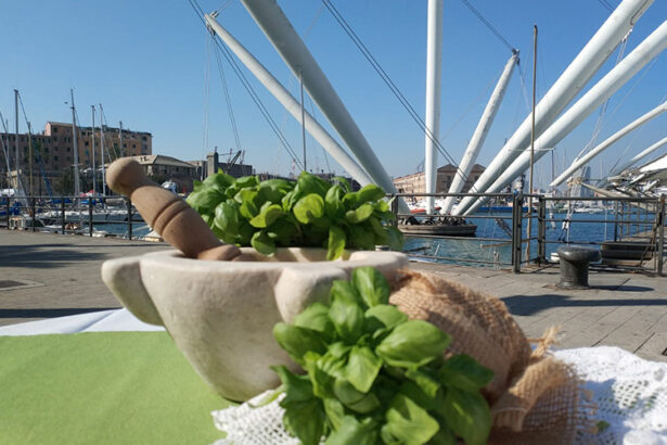 pesto and the ancient port of genoa