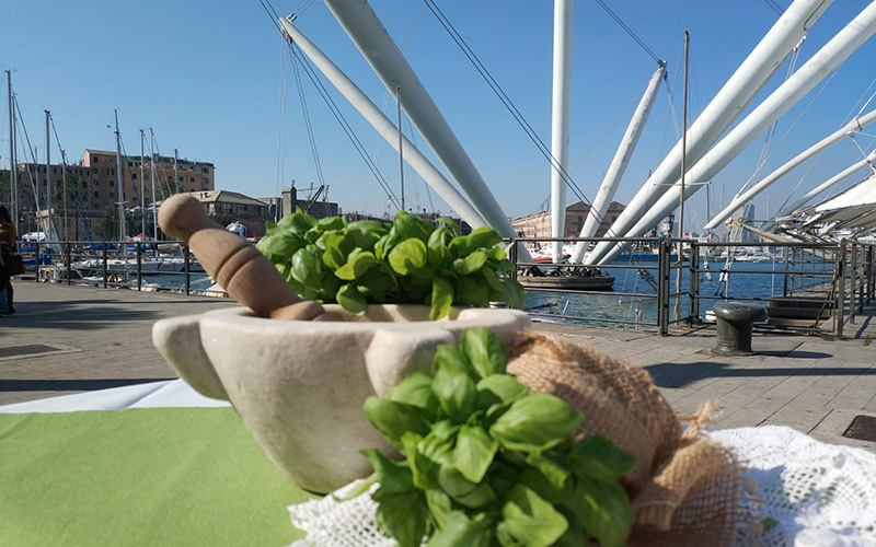 pesto and the ancient port of genoa