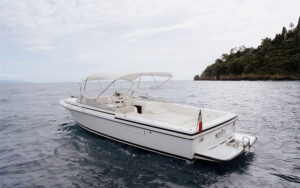 small boat tour portofino