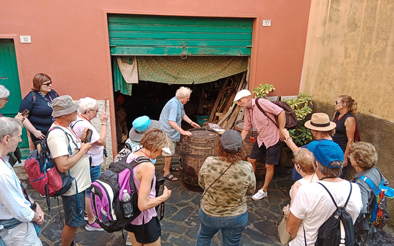 guided walks in the cinque terre