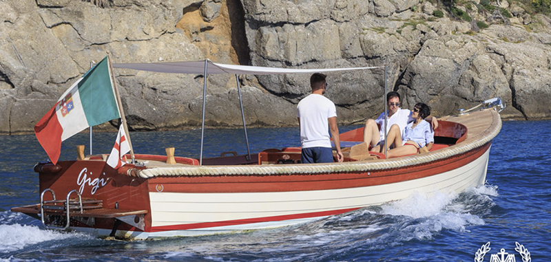 portofino boat tours private