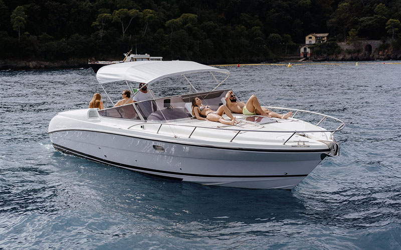 portofino private boat tours