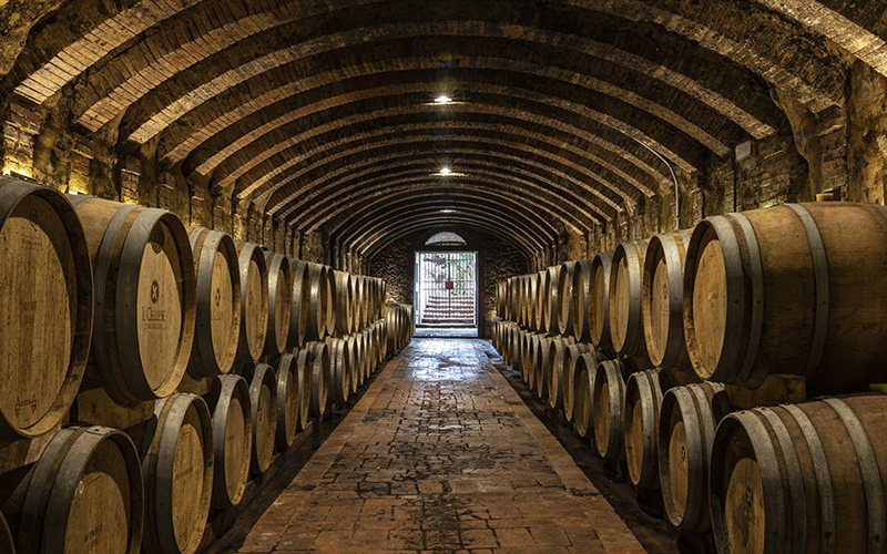 chianti gallo nero, cantina cellese