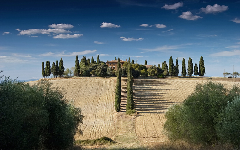 toscana, fattoria coi cipressi sulla collina