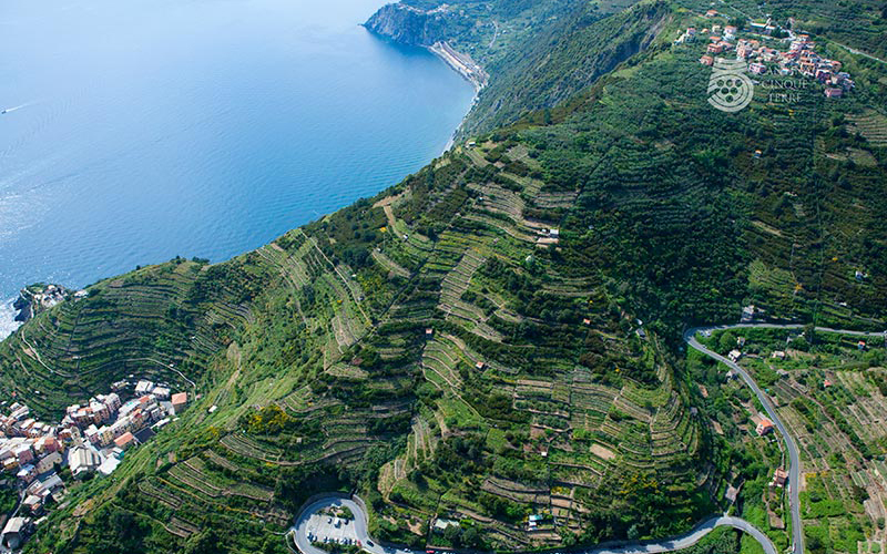 vigneti delle 5 terre visti dall'alto