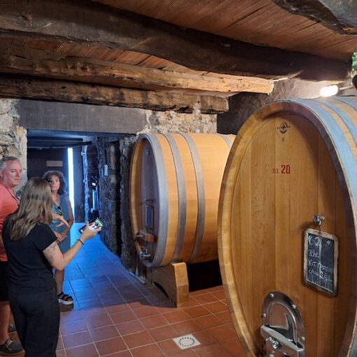 luni hill wines and olive oils