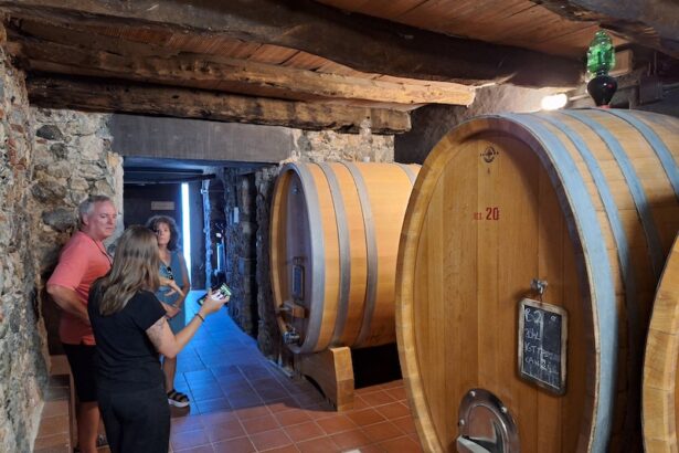 luni hill wines and olive oils