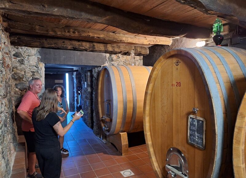 luni hill wines and olive oils