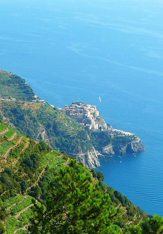 5-terre-manarola-vigneti vigneti terrazzati delle cinque terre e manarola sullo sfondo