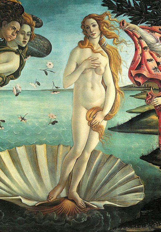 Venere botticelli firenze, museo degli uffici, venere di botticelli